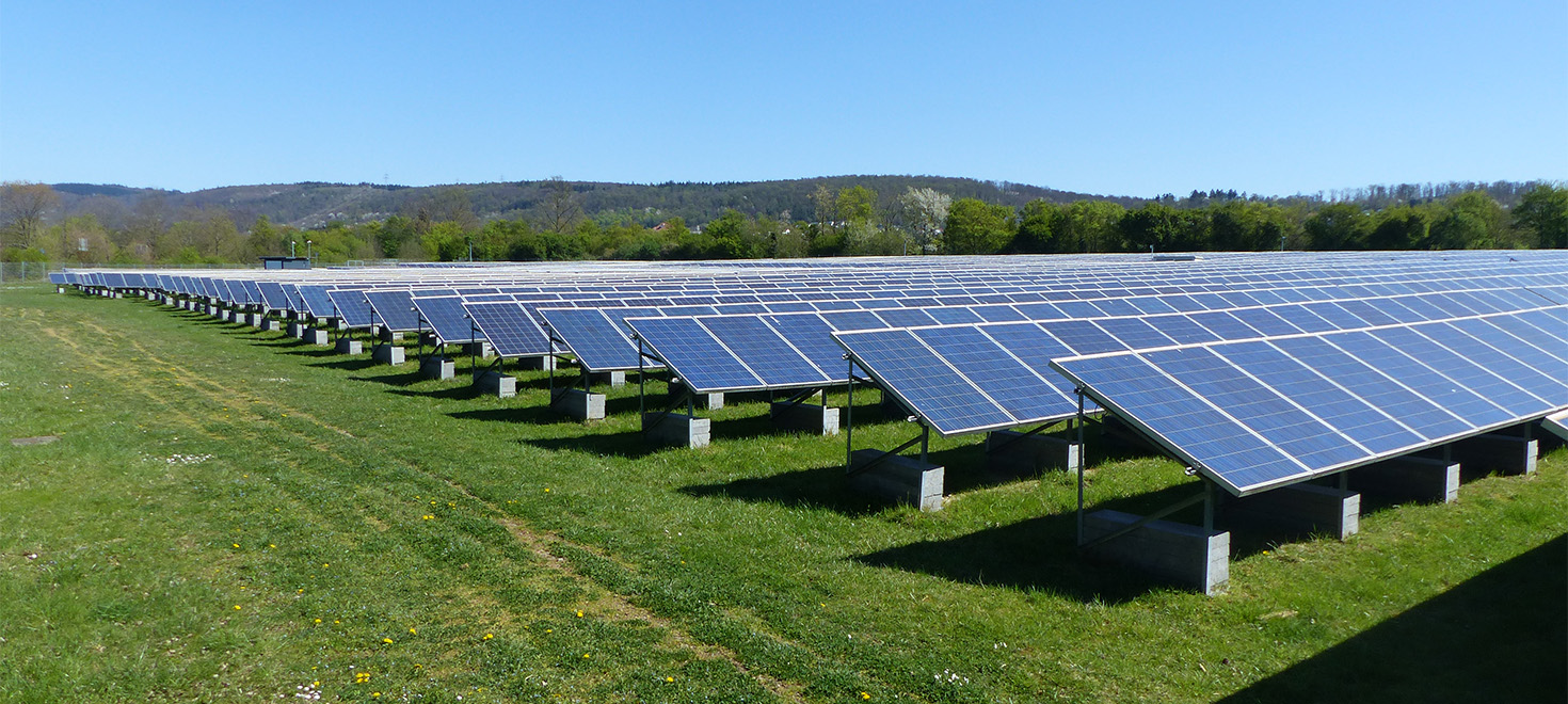 Freiflächen-Photovoltaikanlage mit Reihen von Solarmodulen auf einer Wiese