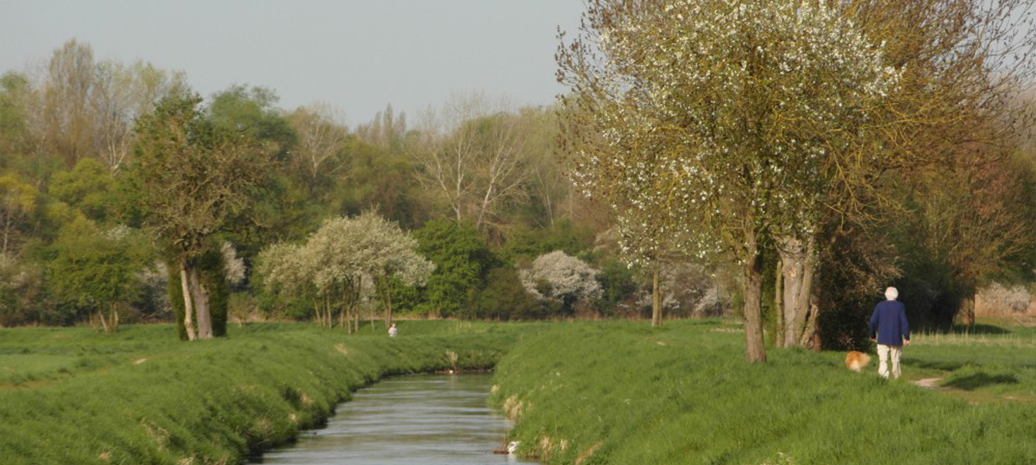 Die Leimbachroute: Bach mit grünen Ufern und blühenden Bäumen, daneben eine Person mit Hund auf einem Weg.