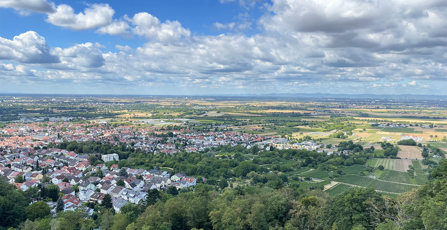 Überblick über Siedlungsflächen und landwirtschaftlich genutzte Bereiche im Verbandsgebiet Heidelberg und Mannheim